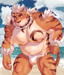 Rule 34 | 1boy, absurdres, animal ears, bara, bare pectorals, beard, beige fur, belly, blue eyes, blush, bulge, chest tattoo, ep06, facial hair, fat, fat man, forked eyebrows, furry, furry male, highres, hombre tigre (housamo), large pectorals, leaning forward, male focus, male swimwear, muscular, navel, nipples, orange fur, pectorals, short hair, solo, spread legs, swim briefs, swimsuit, tattoo, thick eyebrows, thighs, tiger boy, tiger ears, tokyo houkago summoners, two-tone fur, white hair, white male swimwear, white swim briefs