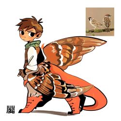 Rule 34 | 1boy, animal, arm hair, bird, bird wings, black eyes, brown gloves, brown hair, brown vest, brown wings, bxnke, centauroid, chilchuck tims, chimera, claws, closed mouth, commentary, dungeon meshi, english commentary, feathered wings, feathers, fingerless gloves, gloves, highres, logo, looking at viewer, male focus, monster boy, monsterification, reference inset, shirt, short hair, sparrow, standing, tail, taur, very short hair, vest, white shirt, wings