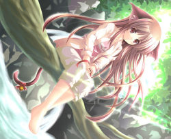Rule 34 | 1girl, animal ears, barefoot, bell, brown eyes, brown hair, cat ears, cat tail, dutch angle, feet, in tree, jingle bell, leaf, long hair, nature, original, outdoors, ribbon, river, sitting, sitting in tree, solo, tail, tail bell, tail ornament, tree, v arms, water, yamamoto nori