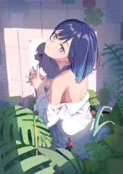 Rule 34 | 1girl, absurdres, asuka-w, back, bare shoulders, blood on wall, blue bow, blue bowtie, blue eyes, blue hair, bow, bowtie, chinese commentary, closed mouth, commentary request, different shadow, earrings, gradient hair, highres, interlocked fingers, jewelry, kurokawa akane, light blue hair, long sleeves, looking at viewer, looking back, medium hair, multicolored hair, naked bowtie, off shoulder, oshi no ko, own hands together, partial commentary, partially undressed, plant, shirt, solo, star-shaped pupils, star (symbol), stud earrings, symbol-shaped pupils, white shirt
