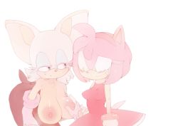 Rule 34 | 2girls, amy rose, blush, breasts, female focus, furry, furry female, highres, huge breasts, mictlan, multiple girls, no humans, rouge the bat, sega, sonic (series), sonic (series), sweat, tail, topless