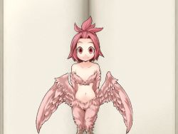 Rule 34 | breasts, feathers, harpy, harpy twins (mon-musu quest!), mon-musu quest!, monster girl, pink hair, small breasts, wings