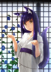 Rule 34 | 1girl, :o, animal ear fluff, animal ears, bad id, bad pixiv id, collarbone, flower, fox ears, fox tail, japanese clothes, kimono, long hair, looking at viewer, morning glory, neo-masterpeacer, open mouth, original, paw pose, purple hair, solo, tail, yellow eyes, yukata