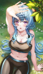 1girl :o ahoge arm_up armpits bare_arms bare_shoulders blue_hair blush breasts cleavage collarbone crop_top duplicate ganyu_(genshin_impact) genshin_impact grass gym_uniform hand_up highres horns long_hair looking_at_viewer medium_breasts midriff navel open_mouth outdoors pixel-perfect_duplicate purple_eyes sidelocks sitting skindentation sleeveless solo sports_bra stomach sweat thigh_gap wol_(wol_927)