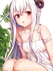 Rule 34 | 1girl, arms at sides, bare shoulders, blush, chestnut mouth, collarbone, commentary request, dress, eyes visible through hair, hair between eyes, highres, horns, komeshiro kasu, legs together, long hair, looking at viewer, off-shoulder dress, off shoulder, open mouth, original, plant, red eyes, sheep horns, simple background, sitting, solo, white background, white dress, white hair