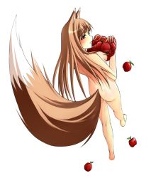 Rule 34 | 1girl, animal ears, apple, ass, back, barefoot, blush, breasts, carrying, feet, female focus, food, foreshortening, from above, from behind, fruit, full body, holo, kneepits, legs, long hair, looking back, metalbolic, nude, parted lips, profile, simple background, solo, spice and wolf, standing, tail, walking, white background, wolf ears, wolf tail