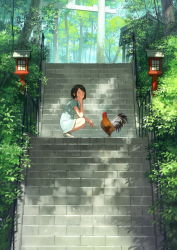 Rule 34 | 1girl, animal, arch, bare arms, bare legs, bird, black hair, blue dress, blush, building, chicken, dappled sunlight, day, dress, forest, from side, full body, hand on own cheek, hand on own face, highres, lantern, legs together, looking at viewer, looking to the side, nature, no socks, original, outdoors, plant, railing, rooster, shadow, shoes, short hair, short sleeves, shrine, solo, squatting, stairs, sun, sunlight, swept bangs, torii, tree, white footwear, wooden lantern, yoshida seiji