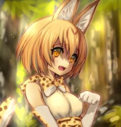 Rule 34 | 10s, 1girl, :d, animal ears, bare shoulders, blurry, blurry background, blush, bow, bowtie, breasts, cat ears, cat tail, clenched hand, covered erect nipples, elbow gloves, eyebrows, eyelashes, fang, from side, gloves, hair between eyes, hand up, kemono friends, light particles, looking at viewer, medium breasts, onatsu a, open mouth, orange eyes, orange hair, outdoors, paw pose, sanpaku, serval (kemono friends), serval print, serval tail, shirt, short hair, skirt, sleeveless, sleeveless shirt, smile, solo, sunlight, tail, tareme, upper body, white shirt