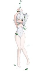 Rule 34 | 1girl, absurdres, animal ears, armpits, arms up, bare shoulders, bdsm, bondage, bound, breasts, clenched hands, covered navel, fake animal ears, full body, genshin impact, gradient hair, green eyes, green hair, grey hair, groin, highleg, highleg leotard, highres, leaf, legs, leotard, long hair, looking at viewer, multicolored hair, nahida (genshin impact), no shoes, open mouth, pantyhose, plant, playboy bunny, pointy ears, rabbit ears, restrained, side ponytail, simple background, small breasts, solo, strapless, strapless leotard, thigh gap, thighs, two-tone hair, vines, white background, white leotard, white pantyhose, wo you yibei jia wanli