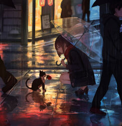 Rule 34 | 1girl, brown hair, cat, catzz, coat, flower, highres, multiple others, night, rain, reflective floor, rose, scarf, scenery, shoes, squatting, umbrella