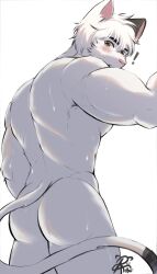 Rule 34 | !, 1boy, animal ears, ass, back, bara, blush, cat ears, cat tail, cowboy shot, furry, furry male, highres, jcxraf, looking at viewer, male focus, muscular, muscular male, orange eyes, original, short hair, signature, simple background, solo, tail, white background, white hair