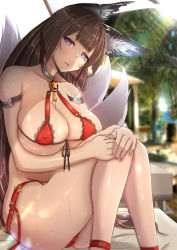 Rule 34 | 1girl, :o, amagi (azur lane), animal ear fluff, animal ears, ankle strap, armlet, azur lane, bare shoulders, bikini, blunt bangs, blush, breasts, brown hair, cleavage, collarbone, commentary request, covered erect nipples, day, fox ears, fox tail, hair ornament, hands on own knees, head tilt, highres, large breasts, long hair, looking at viewer, micro bikini, open mouth, origin (fefnir nightload), outdoors, palm tree, purple eyes, red bikini, shiny skin, sitting, solo, sunlight, swimsuit, tail, thick eyebrows, tree, wet