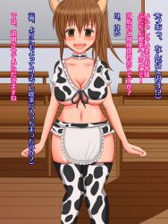 Rule 34 | 1girl, animal print, apron, blush, breasts, brown eyes, brown hair, cleavage, cosplay, cow horns, cow print, fake horns, futanari, highres, horns, large breasts, long hair, looking at viewer, open mouth, ponytail, thighhighs, translated, waist apron
