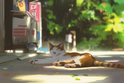 Rule 34 | animal, animal ear fluff, animal focus, blurry, blurry background, cat, closed mouth, commentary, day, depth of field, english commentary, engrish commentary, closed eyes, facing viewer, freezer, highres, leaf, no humans, on ground, original, outdoors, sketch, snatti, striped tail, tail
