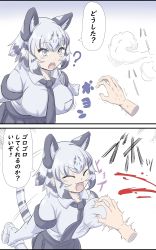 Rule 34 | 10s, 1girl, 2koma, ?, ^^^, ^ ^, animal ears, bad id, bad pixiv id, blood, grabbing another&#039;s breast, breast pocket, breasts, closed eyes, clueless, comic, commentary request, disembodied hand, extra ears, fang, gloves, grabbing, grey eyes, grey hair, guided breast grab, guiding hand, highres, kemono friends, large breasts, motion lines, multicolored hair, necktie, open mouth, pocket, shirt, short hair, short sleeves, sidelocks, skirt, smile, solo focus, sound effects, sweat, nervous sweating, tail, teeth, tiger ears, tiger tail, translation request, trembling, two-tone hair, upper teeth only, white tiger (kemono friends), zetsu (zyej5442)