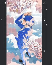 Rule 34 | 1boy, arm up, blue hair, branch, cherry blossoms, falling petals, from above, from behind, full body, hand in pocket, konno haru, long sleeves, male focus, medium sideburns, original, petals, shoes, short hair, solo