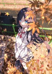 Rule 34 | 2girls, autumn leaves, black hair, blue eyes, breasts, briefcase, eyes visible through hair, fuyushima enishi, highres, leaf, long hair, looking at viewer, multiple girls, open mouth, ribbon, sahara386, school briefcase, school uniform, sex and dungeon, small breasts, very long hair, walking