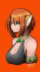 Rule 34 | 1girl, animal ears, breasts, breath of fire, breath of fire ii, bustier, capcom, cleavage, closed mouth, furry, furry female, green eyes, hi-3, highres, jewelry, orange hair, pointy ears, rinpoo chuan, short hair, simple background, smile, solo