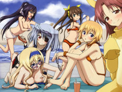 Rule 34 | 10s, 6+girls, angry, animal ears, assisted exposure, bare shoulders, barefoot, beach, bikini, unworn bikini top, blonde hair, blush, grabbing another&#039;s breast, breast hold, breast press, breasts, brown eyes, brown hair, cecilia alcott, charlotte dunois, choker, clothes theft, cloud, covering privates, covering breasts, day, drink, embarrassed, eyepatch, feet, female focus, fox ears, grabbing, hair ribbon, hairband, holding, huang lingyin, infinite stratos, large breasts, laura bodewig, legs, long hair, long legs, lotion, lying, moaning, multiple girls, naughty face, navel, negija, nohotoke honne, open mouth, outdoors, ponytail, purple hair, red hair, ribbon, running, sand, shinonono houki, shiny skin, short hair, sideboob, silver hair, sitting, sky, small breasts, smile, sunglasses, sweat, swimsuit, swimsuit theft, theft, thighs, toes, topless, towel, twintails, wallpaper, water, wristband, yuri