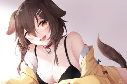 Rule 34 | 1girl, :d, absurdres, animal ears, bare shoulders, black bra, blue bow, blush, bow, bra, braid, breasts, brown hair, buckle, cleavage, collar, dog ears, dog girl, dog tail, gradient background, grey background, highres, hololive, huge filesize, inugami korone, inugami korone (1st costume), jacket, large breasts, long hair, looking at viewer, lying, machin4719, off shoulder, on stomach, open clothes, open jacket, open mouth, red bow, red eyes, signature, smile, solo, tail, twin braids, underwear, virtual youtuber, yellow jacket