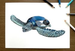 Rule 34 | abe yuichiro, animal focus, art tools in frame, blue gemstone, colored pencil (medium), crystal, gem, highres, no humans, original, photo (medium), simple background, traditional media, turtle, white background