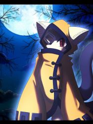 Rule 34 | animal, animal ears, arc system works, blazblue, cat, cat ears, cat tail, furry, jubei (blazblue), moon, multiple tails, night, red eyes, tail