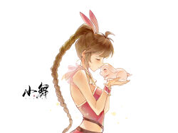 Rule 34 | 1girl, animal, animal ears, artist request, blush, braid, braided ponytail, brown hair, carrot hair ornament, closed eyes, closed mouth, clothing cutout, douluo dalu, dress, food-themed hair ornament, frilled cuffs, from side, hair ornament, highres, holding, holding animal, long hair, pink dress, rabbit, rabbit ears, second-party source, side cutout, smile, solo, upper body, white background, xiao wu (douluo dalu), yellow circle