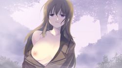 Rule 34 | 1girl, brown hair, evenicle, game cg, nipples, purple eyes, tio (evenicle), uncensored