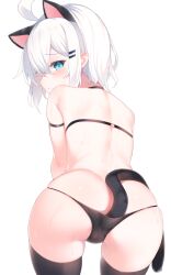 Rule 34 | 1girl, ahoge, anal tail, animal ears, ass, bikini, black bikini, blue eyes, butt plug, cat ears, cat tail, commentary request, fake animal ears, fake tail, hair ornament, hairclip, highres, looking at viewer, looking back, original, otokuyou, ringo-chan (otokuyou), short hair, simple background, solo, sweat, swimsuit, tail, white background, white hair