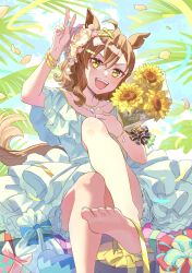 Rule 34 | 1girl, absurdres, ahoge, animal ears, arm up, barefoot, bouquet, box, breasts, brown hair, collarbone, crossed bangs, dated, dress, fangs, feet, flower, gift, gift bag, gift box, hair ornament, hairclip, happy birthday, highres, holding, holding bouquet, horse ears, horse girl, horse tail, jewelry, jungle pocket (umamusume), looking at viewer, medium hair, multicolored nails, nayuta ggg, necklace, notched ear, off-shoulder dress, off shoulder, open mouth, outdoors, petals, ribbon, sitting, small breasts, smile, solo, sunflower, tail, teeth, toes, umamusume, upper teeth only, v, white dress, wristband, yellow eyes