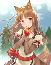 Rule 34 | 1girl, animal ears, apple, blush, bomhat, brown eyes, brown hair, cowboy shot, food, fruit, holding, holding food, holding fruit, holo, looking at viewer, sash, smile, solo, spice and wolf, tail, tree, wolf ears, wolf tail