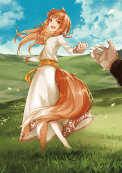 Rule 34 | 1boy, 1girl, animal ears, ayakura juu, blue sky, blush, brown hair, cloud, craft lawrence, day, dress, field, floating hair, grass, highres, holo, horizon, long hair, looking at viewer, looking back, official art, open mouth, out of frame, outdoors, outstretched arm, petals, pov, pov hands, red eyes, sash, sky, smile, solo focus, spice and wolf, tail, wind, wolf ears, wolf girl, wolf tail