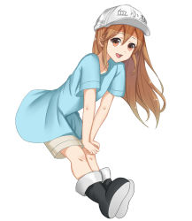 Rule 34 | 10s, 1girl, :d, bad id, bad pixiv id, black footwear, blue shirt, boots, brown eyes, brown hair, brown shorts, character name, commentary request, flat cap, full body, grey hat, hat, hataraku saibou, knee boots, leaning forward, long hair, looking at viewer, open mouth, platelet (hataraku saibou), round teeth, shirt, short shorts, short sleeves, shorts, simple background, smile, solo, teeth, upper teeth only, user awm7451, very long hair, white background