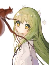 Rule 34 | 1boy, androgynous, animal, blurry, branch, bug, butterfly, butterfly on head, curious, depth of field, enkidu (fate), fate/grand order, fate (series), floating hair, green hair, insect, jewelry, long hair, looking afar, looking at animal, looking at viewer, looking to the side, male focus, pendant, robe, rocco, simple background, solo, squirrel, upper body, white background, white robe, yellow eyes