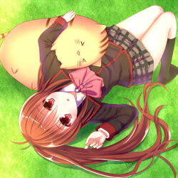 Rule 34 | 1girl, :o, ahoge, akausagi, black jacket, black socks, blush, brown hair, commentary request, day, doruji, eyes visible through hair, from above, full body, grass, grey skirt, hair between eyes, hair spread out, hand up, jacket, kneehighs, knees up, little busters!, long hair, long sleeves, looking at viewer, lying, miniskirt, natsume rin, no shoes, on back, on grass, open mouth, outdoors, petticoat, plaid, plaid skirt, pleated skirt, ponytail, red eyes, skirt, socks, solo, very long hair
