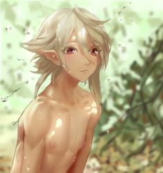 Rule 34 | 1boy, androgynous, blush, collarbone, corrin (fire emblem), corrin (male) (fire emblem), fire emblem, fire emblem fates, hair between eyes, male focus, nintendo, nipples, outdoors, pointy ears, red eyes, samsara (shuukeura), silver hair, smile, solo, topless male, trap, upper body, wet