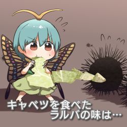 Rule 34 | 1girl, animal, antennae, aqua hair, barefoot, blush, brown background, brown eyes, butterfly wings, cabbage, dress, eating, eternity larva, fairy, flying sweatdrops, food, green dress, hair between eyes, highres, holding, holding food, holding vegetable, insect wings, kyoukei usagi, leaf, leaf on head, multicolored clothes, multicolored dress, shadow, short hair, short sleeves, simple background, single strap, solo, touhou, translation request, urchin, vegetable, wings