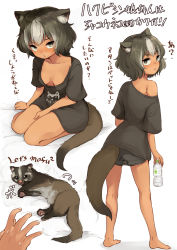 Rule 34 | 1girl, animal, animal ears, bare legs, barefoot, batta (kanzume quality), black hair, black shirt, black shorts, bottle, breasts, dark-skinned female, dark skin, full body, looking at viewer, looking back, masked palm civet, multicolored hair, off shoulder, original, oversized clothes, oversized shirt, shirt, short hair, short shorts, short sleeves, shorts, sitting, small breasts, tail, translation request, two-tone hair, water bottle, white hair