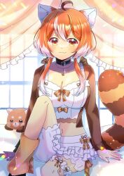 Rule 34 | 1girl, ahoge, animal ears, black choker, breasts, brown eyes, brown jacket, camisole, choker, cleavage, closed mouth, collarbone, commentary, commission, crop top, curtains, english commentary, frills, hair between eyes, indie virtual youtuber, jacket, kou hiyoyo, long hair, looking at viewer, medium breasts, midriff, multicolored hair, navel, orange hair, perkypert, puffy shorts, second-party source, short shorts, shorts, skeb commission, smile, solo, streaked hair, striped tail, tail, transparent, very long hair, virtual youtuber, white camisole, white hair, white shorts, window