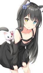 Rule 34 | 1girl, animal, animal ear fluff, animal ears, black dress, black hair, blue bow, blue eyes, blush, bow, braid, breasts, cat, cat ears, cat girl, cat tail, clothing cutout, collarbone, commentary request, downblouse, dress, hair bow, heterochromia, keiran (ryo170), leaning forward, long hair, long sleeves, looking at viewer, o-ring, original, parted lips, shoulder cutout, simple background, small breasts, solo, tail, tail raised, very long hair, white background, white cat, yellow eyes