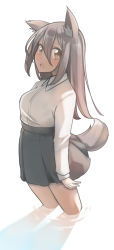 Rule 34 | 1girl, animal ear fluff, animal ears, black skirt, blush, breasts, brown eyes, brown hair, collared shirt, comah, dress shirt, hair between eyes, highres, long hair, long sleeves, looking at viewer, open mouth, original, pleated skirt, shirt, skirt, small breasts, solo, tail, wading, water, white background, white shirt