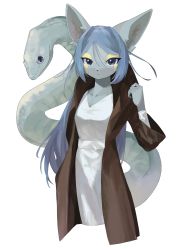 1girl animal_ears blue_eyes blue_hair cloak cropped_legs dress expressionless female_focus fox_ears fox_girl furry furry_female highres hood hooded_cloak katamuki6 long_hair looking_at_viewer original slit_pupils snake solo tsurime white_background white_dress