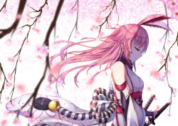 Rule 34 | 1girl, animal ears, bare shoulders, benghuai xueyuan, black scarf, blurry, branch, cherry blossoms, closed eyes, closed mouth, commentary request, day, depth of field, detached sleeves, floating hair, floral print, fox ears, from side, glint, highres, holding, holding sword, holding weapon, honkai (series), japanese clothes, katana, kimono, light particles, long hair, nontraditional miko, obi, petals, pink hair, print kimono, profile, rabbit ears, ribbon trim, rope, sash, scabbard, scarf, shade, sheath, shimenawa, solo, sunlight, sword, tassel, unsheathing, upper body, weapon, white background, white kimono, yae sakura, yae sakura (benghuai xueyuan), yae sakura (gyakushinn miko), ye zi you bei jiao ju ge