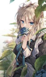 Rule 34 | 1girl, absurdres, apron, black dress, blonde hair, blue bow, blue eyes, blue flower, blue neckwear, blue rose, blurry, blurry background, bow, dress, flower, frilled dress, frills, hand up, highres, holding, holding flower, leaf, long hair, long sleeves, looking at viewer, maid, maid apron, maid headdress, original, plant, rose, solcha, solo, standing, white apron