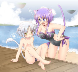 Rule 34 | 10s, 1boy, 1girl, animal ears, arm support, beach, blue male swimwear, blue swim briefs, blush, breasts, casual one-piece swimsuit, cat ears, cat tail, cleavage, day, dog days, gaul galette des rois, hands on own hips, large breasts, leaning forward, lion ears, lion tail, male swimwear, ocean, okino matsushiro, one-piece swimsuit, open mouth, pier, purple eyes, purple hair, scolding, sitting, swim briefs, swimsuit, tail, violet (dog days), violet amaretto, violle amaret, white hair, yellow eyes