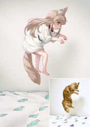 Rule 34 | 1girl, 40hara, animal ears, animal print, barefoot, bed, blonde hair, blunt bangs, cat, cat ears, cat girl, cat tail, collar, fish print, flipped hair, green eyes, highres, kinako (40hara), long hair, looking ahead, midair, open mouth, original, oversized clothes, oversized shirt, photo-referenced, photo inset, profile, red collar, reference inset, shirt, short sleeves, sidelocks, solo, tail, white shirt