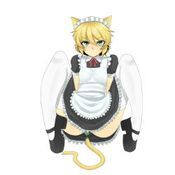Rule 34 | 1girl, alternate costume, anal tail, animal ears, apron, black dress, black footwear, blush, breasts, butt plug, cat ears, cat tail, closed mouth, collared dress, commentary request, dress, enmaided, fake tail, frilled apron, frilled dress, frills, full body, kemonomimi mode, looking at viewer, maid, maid headdress, mary janes, mizuhashi parsee, neck ribbon, nicutoka, pointy ears, red ribbon, ribbon, sex toy, shoes, short hair, short sleeves, simple background, small breasts, solo, spread legs, tail, thighhighs, touhou, white apron, white background, white thighhighs