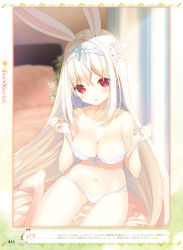 Rule 34 | 1girl, :o, animal ears, artist name, bare arms, bare legs, barefoot, bed, bed sheet, blurry, blush, bow, bow bra, bra, breasts, cleavage, collarbone, curtains, cynthia riddle, dengeki moeou, depth of field, flower, groin, hair between eyes, hair flower, hair ornament, hairband, heart, highres, indoors, long hair, looking at viewer, medium breasts, navel, on bed, open mouth, original, p19, page number, panties, pillow, plant, rabbit ears, red eyes, removing bra, sidelocks, sitting, solo, stomach, sunlight, translation request, twilight, underwear, underwear only, undressing, very long hair, virtual youtuber, wariza, white bra, white flower, white hair, white hairband, white panties
