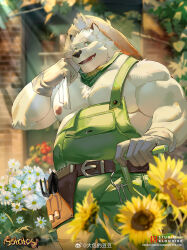 Rule 34 | 1boy, absurdres, animal ears, bara, bare pectorals, bear boy, bear ears, belly, bulge, day, fat, fat man, feet out of frame, florist, furry, furry male, green overalls, hat, highres, icelernd, key, large pectorals, looking at viewer, male focus, muscular, muscular male, nipples, original, pectorals, sanpaku, short hair, solo, standing, sun hat, sunlight, thick eyebrows, tool belt, white fur
