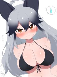 Rule 34 | 2girls, alternate costume, animal ears, bikini, black bikini, black hair, blush, breasts, brown eyes, chibi, chibi inset, cleavage, closed mouth, collarbone, commentary request, ezo red fox (kemono friends), fox ears, frown, gradient hair, grey hair, hair between eyes, highres, kemono friends, large breasts, long hair, looking at viewer, multicolored hair, multiple girls, navel, ponytail, ransusan, silver fox (kemono friends), simple background, solo focus, spoken sweatdrop, sweat, sweatdrop, swimsuit, translated, tsurime, two-tone hair, upper body, v-shaped eyebrows, white background